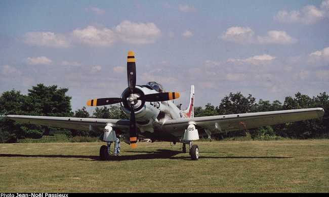 Vue d'un Skyraider A-1D (photo : JN Passieux, meeting de la Fert&eacute;-Alais 2003)