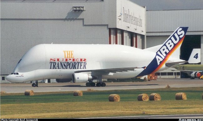 Vue d'un A300B4-608ST Beluga num&eacute;ro 4 (photo : Axel Juengerich)