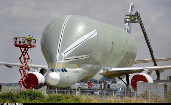 Vue d'un A330-743L Beluga XL (photo : G&eacute;rard Meilley)