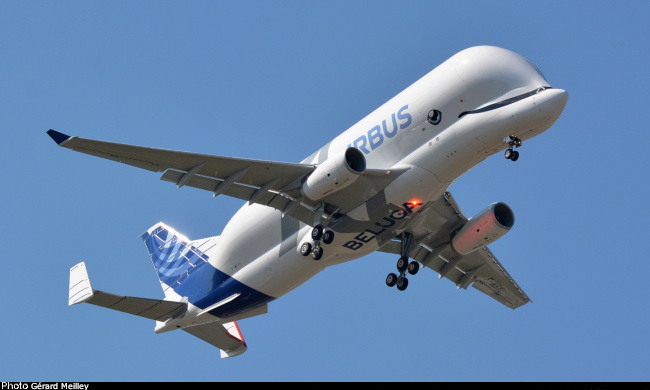 Vue d'un A330-743L Beluga XL (photo : G&eacute;rard Meilley)