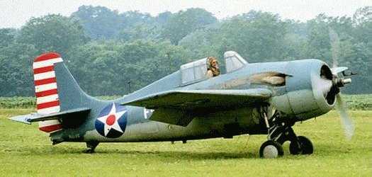 Vue d'un Wildcat