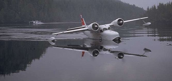 Vue de deux Goose civils