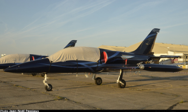 Vue d'un L-39C de l'&eacute;quipe Fly and Fun (photo : JN Passieux, meeting de Melun-Villaroche 2023)