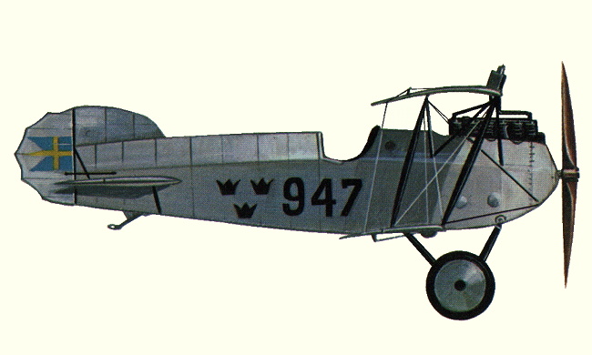 Vue d'un chasseur Ph&ouml;nix D.III (origine : Fighters 1914-1919 - Kenneth Munson)
