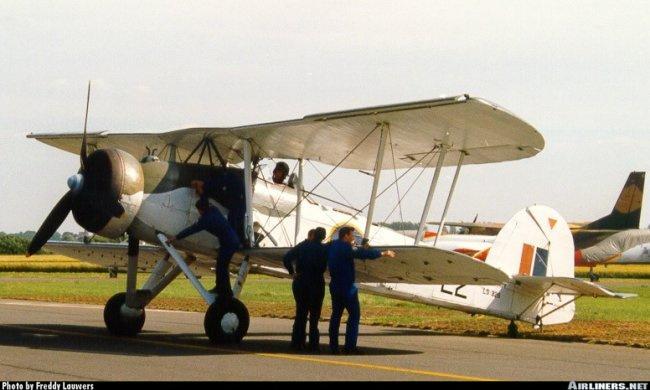 Vue d'un Swordfish (photo : Freddy Lauwers)