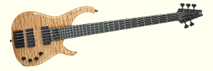 Modulus Quantum